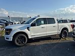 New 2025 Ford F-150 XLT SuperCrew Cab 4WD Pickup for sale #F4447 - photo 1