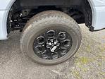 2025 Ford F-250 Crew Cab 4x4 Pickup for sale #F4458 - photo 5
