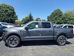 2025 Ford F-150 SuperCrew Cab 4x4 Pickup for sale #F4462 - photo 3