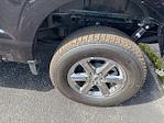 New 2025 Ford F-150 XLT SuperCrew Cab 4WD Pickup for sale #F4464 - photo 17