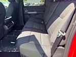 New 2025 Ford F-150 XLT SuperCrew Cab 4WD Pickup for sale #F4467 - photo 19