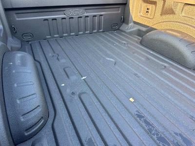 New 2025 Ford F-350 - photo 1