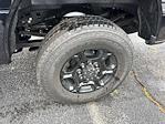 2025 Ford F-350 Regular Cab SRW 4x4 Pickup for sale #F4557 - photo 5