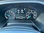 New 2025 Ford Transit 250 Medium Roof Empty Cargo Van for sale #F4568 - photo 8