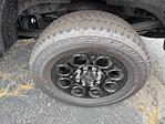 New 2025 Ford F-250 XLT Crew Cab 4x4 Pickup for sale #F4604 - photo 5