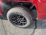New 2025 Ford F-150 XLT SuperCrew Cab for sale #F4853 - photo 4