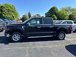 New 2025 Ford F-150 XLT SuperCrew Cab 4WD Pickup for sale #F5018 - photo 13