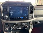 New 2025 Ford F-150 XLT SuperCrew Cab 4x4 Pickup for sale #F5056 - photo 12