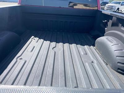 2023 Ford F-250 Crew Cab 4x4 Pickup for sale #FP3898 - photo 2