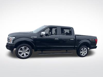 Used 2019 Ford F-150 Platinum SuperCrew Cab for sale #FP4166A - photo 2