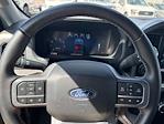 2024 Ford F-150 SuperCrew Cab 4x4 Pickup for sale #FP4359 - photo 29