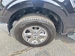 2024 Ford F-150 SuperCrew Cab 4x4 Pickup for sale #FP4393 - photo 10