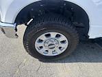 Used 2023 Ford F-250 XLT Crew Cab for sale #FP4499 - photo 10