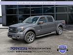 2013 Ford F-150 SuperCrew Cab RWD Pickup for sale #26169A - photo 1
