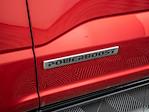2024 Ford F-150 SuperCrew Cab 4WD Pickup for sale #9760 - photo 13