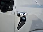 2025 Ford F-150 SuperCrew Cab 4WD Pickup for sale #T25597 - photo 10