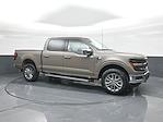 New 2026 Ford F-150 XLT SuperCrew Cab for sale #TFA09291 - photo 13