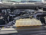 2023 Ford F-150 SuperCrew Cab 4WD Pickup for sale #PT10452 - photo 29