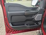 2024 Ford F-150 SuperCrew Cab 4WD Pickup for sale #PT10484 - photo 13