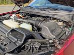 2024 Ford F-150 SuperCrew Cab 4WD Pickup for sale #PT10484 - photo 39