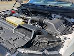 2024 Ford F-150 SuperCrew Cab 4WD Pickup for sale #PT10487 - photo 38