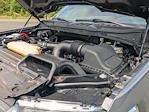 2023 Ford F-150 SuperCrew Cab 4WD Pickup for sale #PT10577 - photo 39