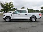 2023 Ford F-150 SuperCrew Cab 4WD Pickup for sale #PT10589 - photo 3