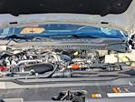 2024 Ford F-350 Crew Cab SRW 4WD Pickup for sale #T245055A - photo 31