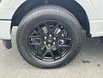 2024 Ford F-150 SuperCrew Cab 4WD Pickup for sale #T247143 - photo 11