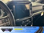 2024 Ford F-150 SuperCrew Cab 4WD Pickup for sale #T247185 - photo 20