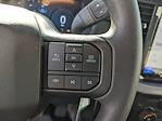 2024 Ford F-150 SuperCrew Cab 4WD Pickup for sale #T247338 - photo 20