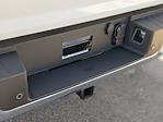 2024 Ford F-150 SuperCrew Cab 4WD Pickup for sale #T247338 - photo 32