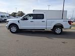 2024 Ford F-150 SuperCrew Cab 4WD Pickup for sale #T247339 - photo 7
