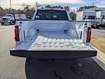2024 Ford F-150 SuperCrew Cab 4WD Pickup for sale #T247340 - photo 33
