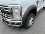 2024 Ford F-450 Crew Cab DRW RWD, Service Truck for sale #T248433 - photo 14