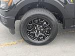 2025 Ford F-150 SuperCrew Cab RWD Pickup for sale #T257101 - photo 11