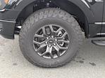 2025 Ford F-150 SuperCrew Cab 4WD Pickup for sale #T257114 - photo 11