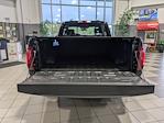 2025 Ford F-150 Regular Cab 4WD Pickup for sale #T257141 - photo 23