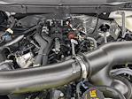 2025 Ford F-150 SuperCrew Cab 4WD Pickup for sale #T257161 - photo 33