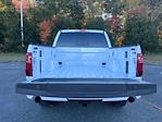 2025 Ford F-150 SuperCrew Cab 4WD Pickup for sale #T257182 - photo 29