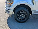 New 2025 Ford F-150 STX SuperCrew Cab 4WD Pickup for sale #T257185 - photo 11