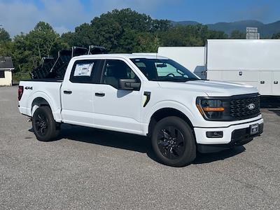 2025 Ford F-150 SuperCrew Cab 4WD Pickup for sale #T257234 - photo 1