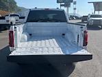 2025 Ford F-150 SuperCrew Cab 4WD Pickup for sale #T257234 - photo 20