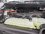 2025 Ford F-150 SuperCrew Cab 4WD Pickup for sale #T257274 - photo 42