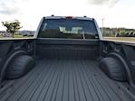 2025 Ford F-250 Crew Cab 4WD Pickup for sale #T258064 - photo 31