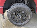 2025 Ford F-250 Crew Cab 4WD Pickup for sale #T258087 - photo 10