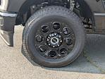 2025 Ford F-250 Crew Cab 4WD Pickup for sale #T258088 - photo 10