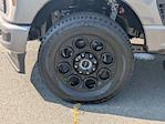 2025 Ford F-250 Crew Cab 4WD Pickup for sale #T258190 - photo 10