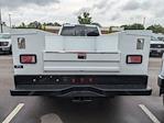 2025 Ford F-350 Crew Cab DRW 4WD Cab Chassis for sale #T258305 - photo 5