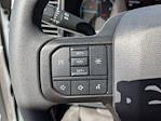 2025 Ford F-450 Crew Cab DRW 4WD Cab Chassis for sale #T258306 - photo 19